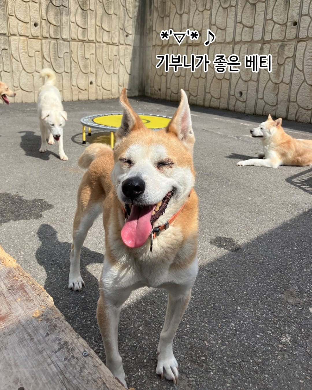 상세 사진 10