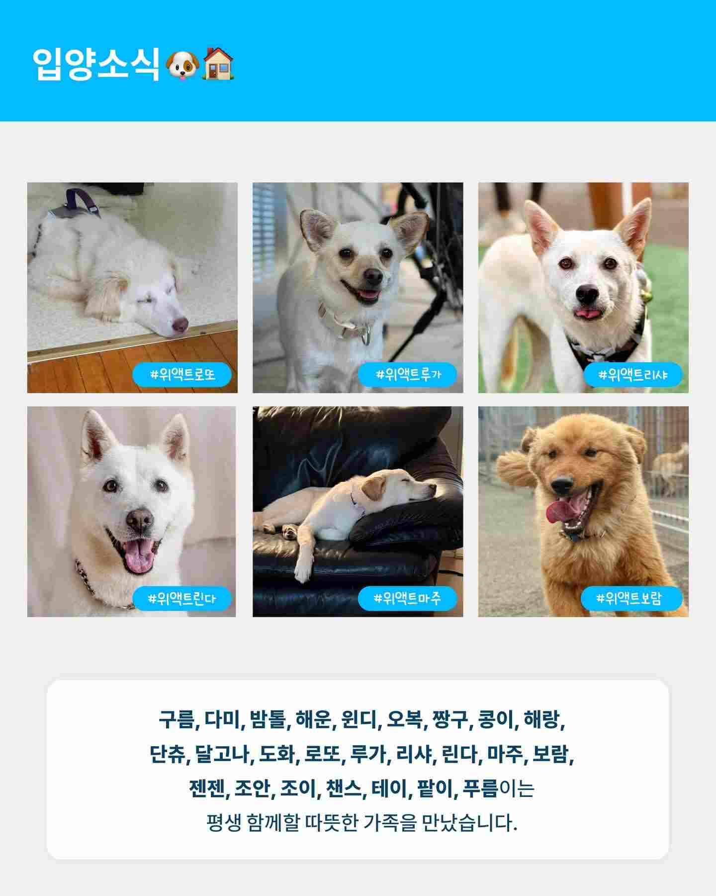 상세 사진 4