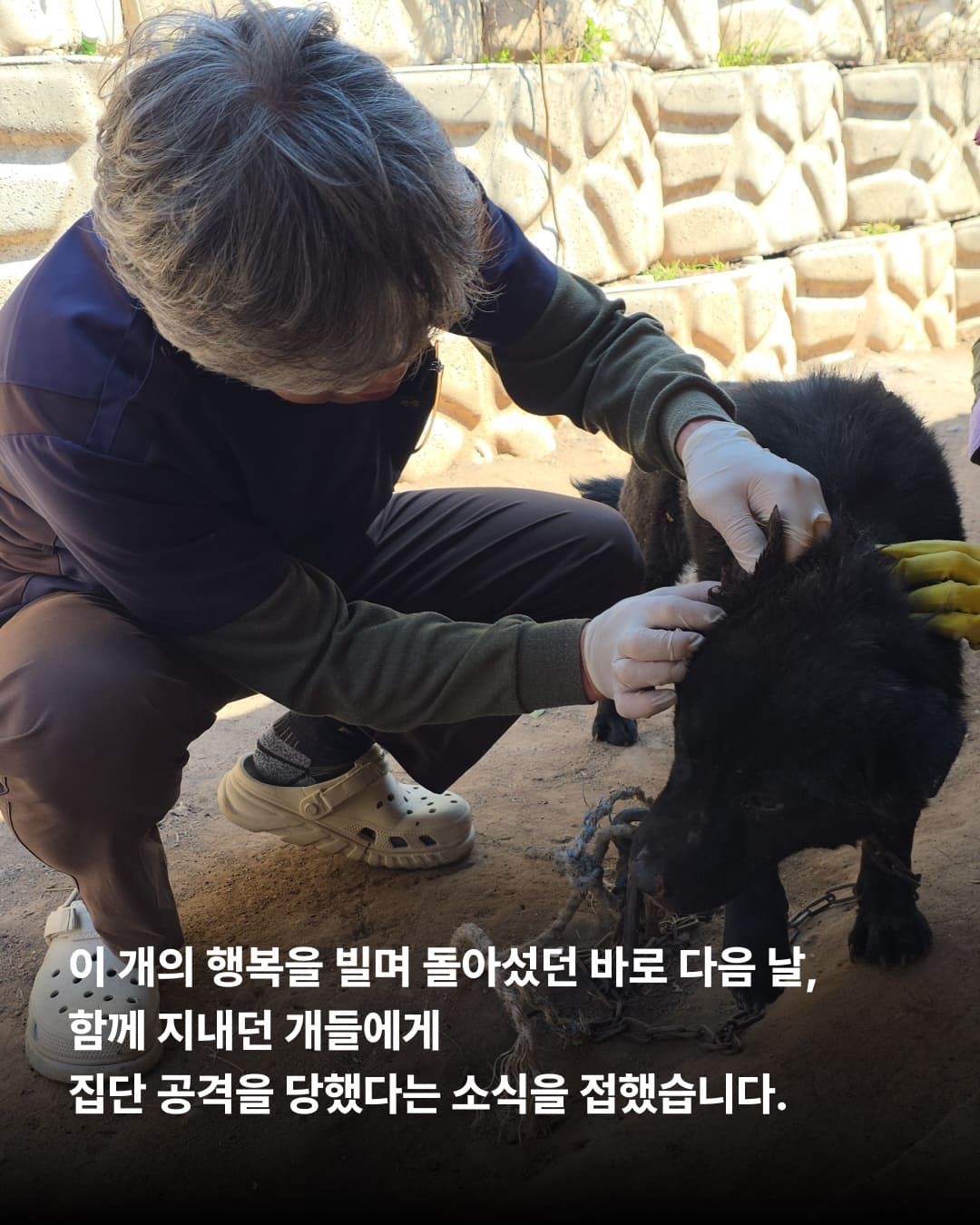 상세 사진 5