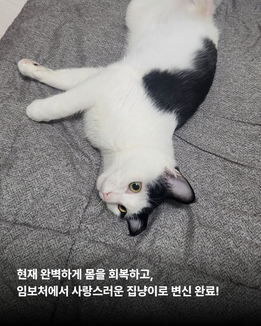 상세 사진 4