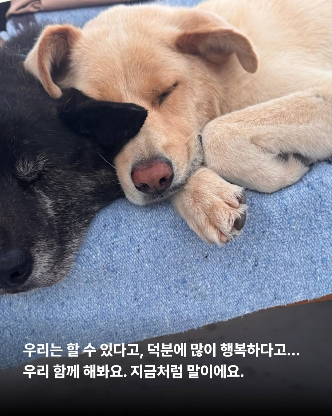 상세 사진 9