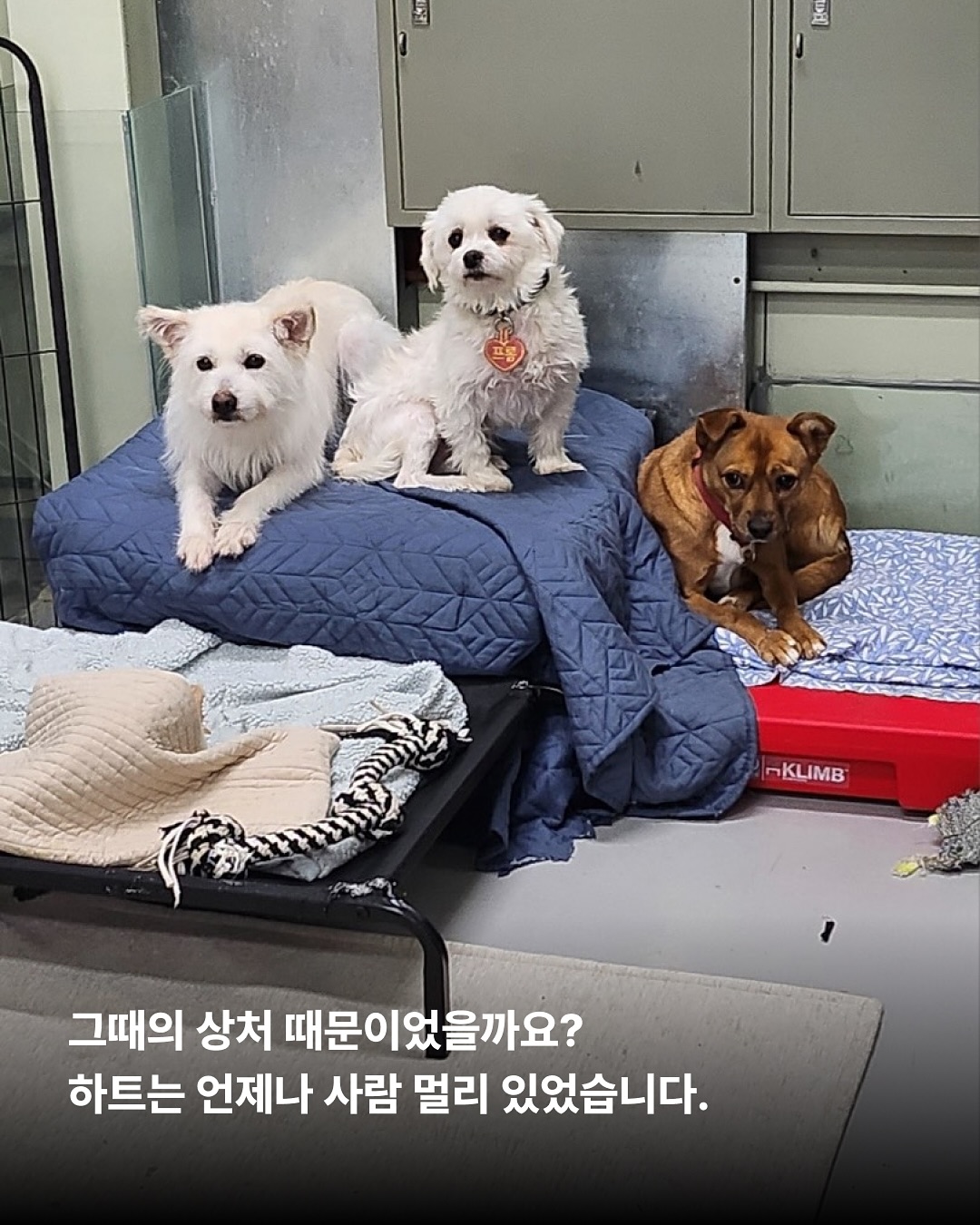 상세 사진 4