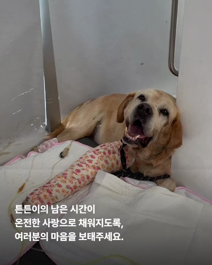 상세 사진 11