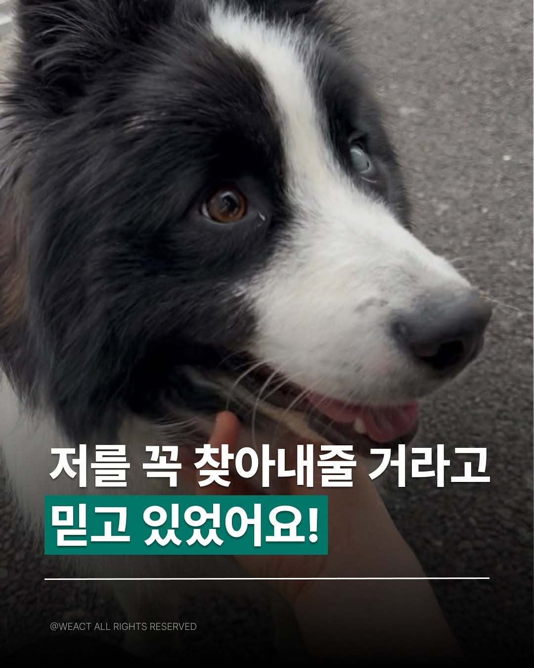 상세 사진 1