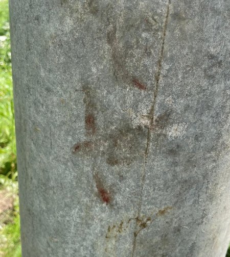 상세 사진 5
