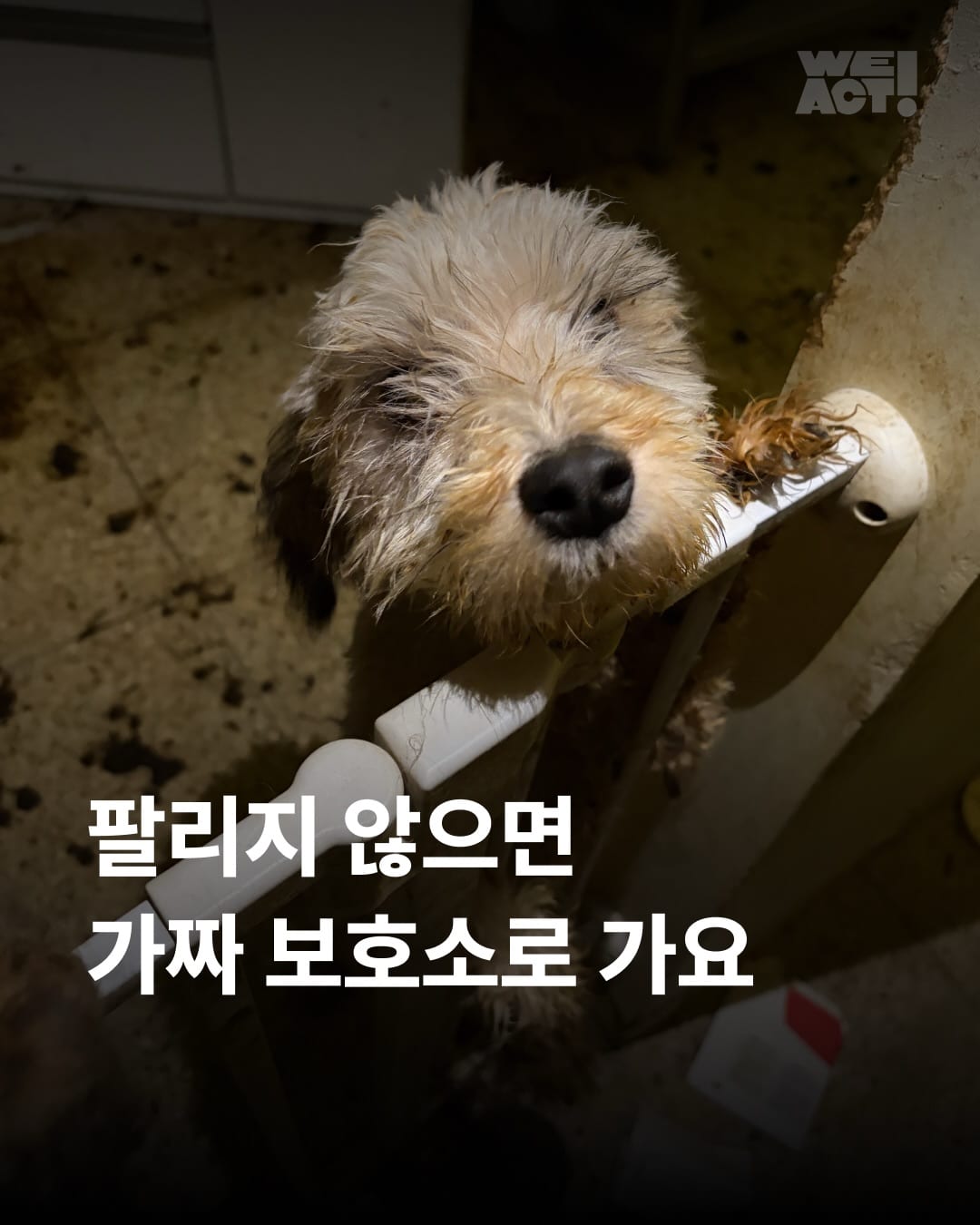 상세 사진 1