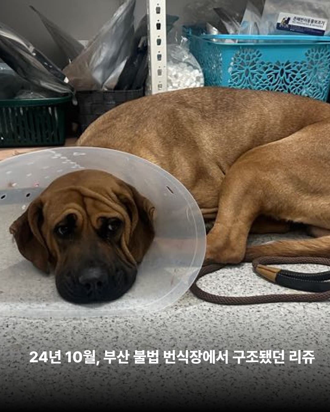상세 사진 2