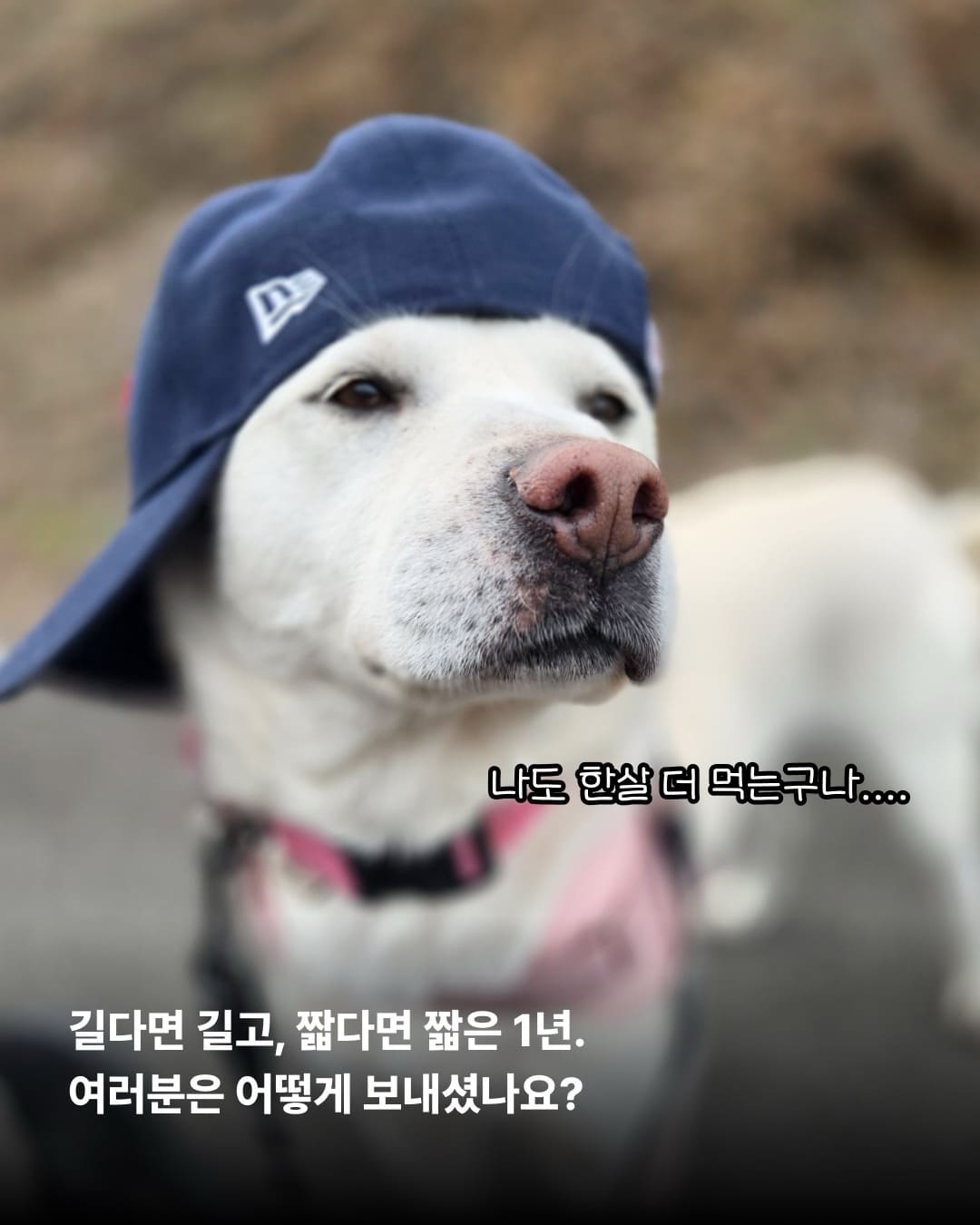 상세 사진 2