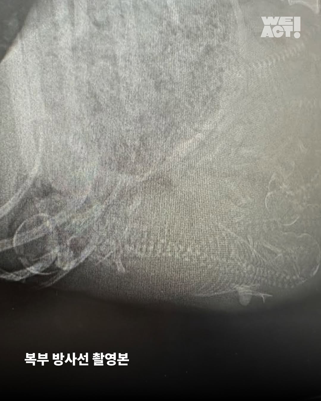 상세 사진 6