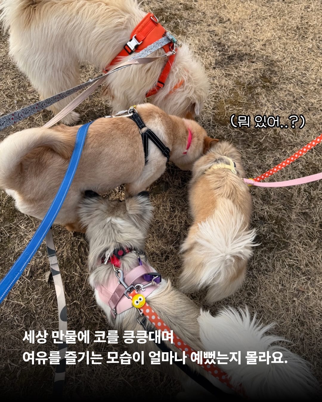 상세 사진 7