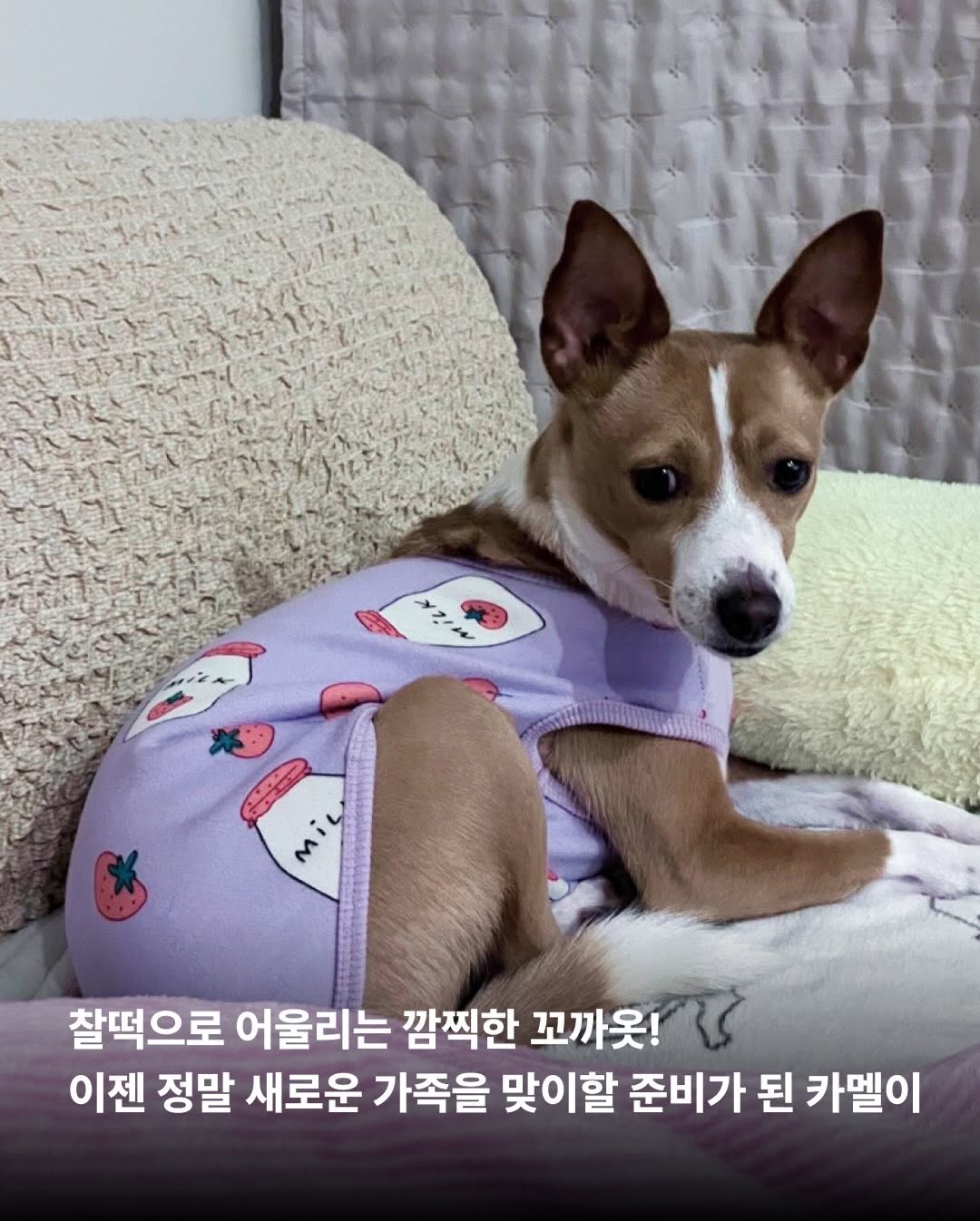 상세 사진 8