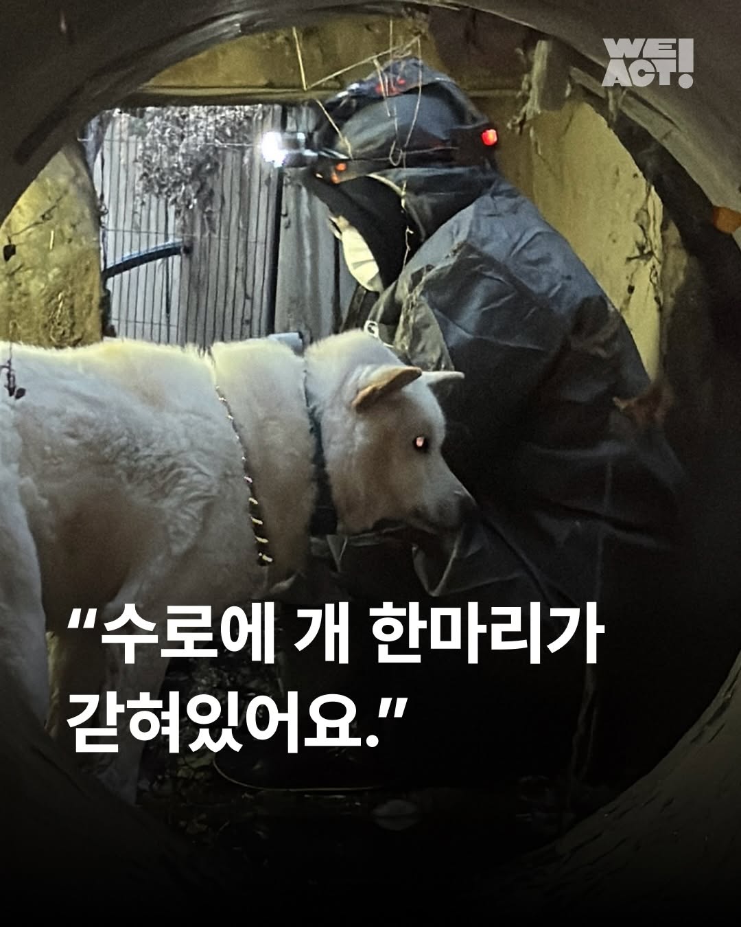 상세 사진 1