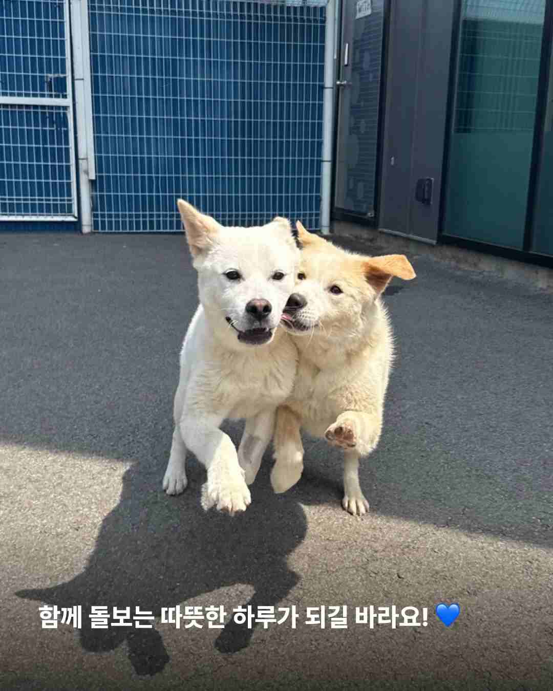 상세 사진 10