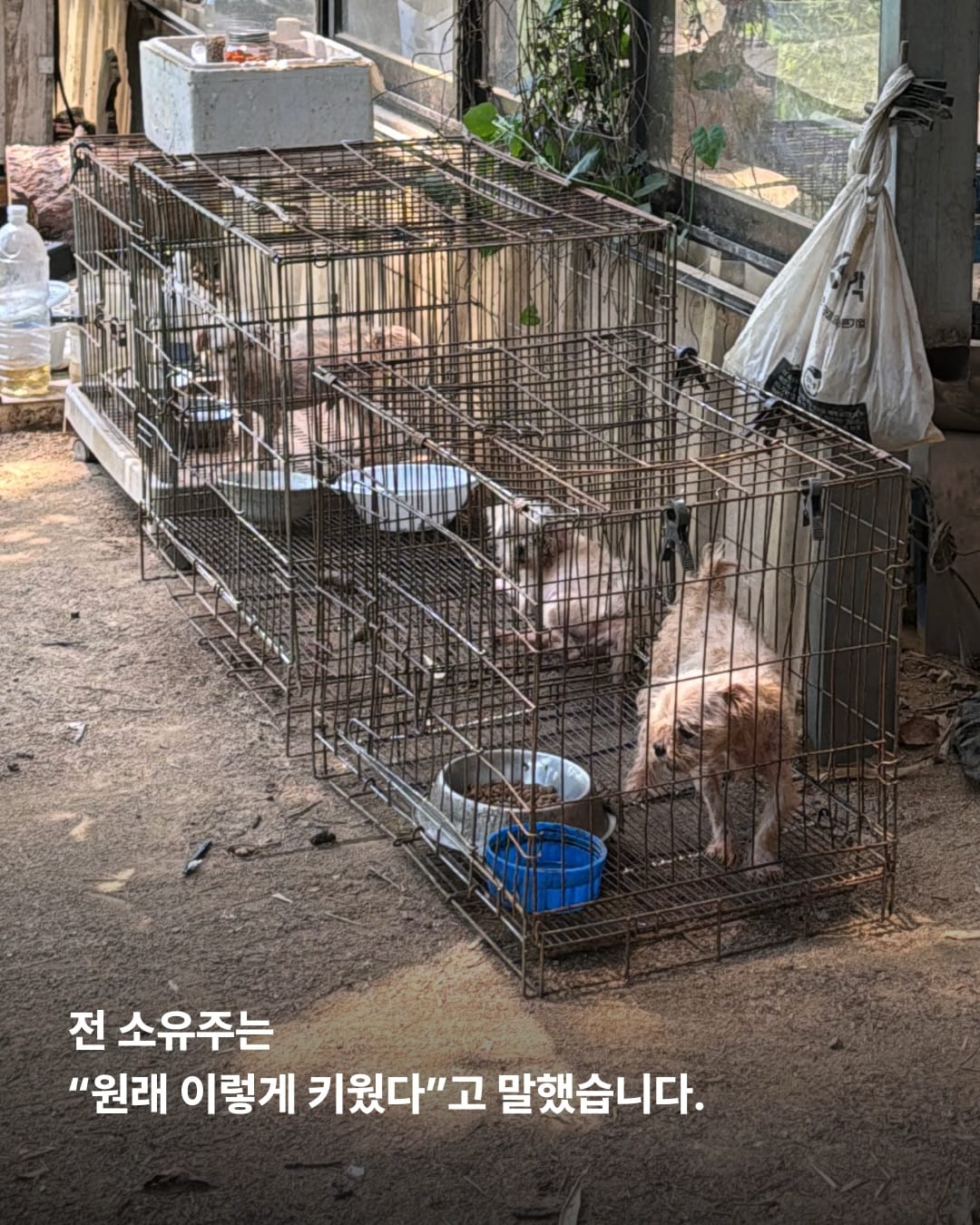 상세 사진 5