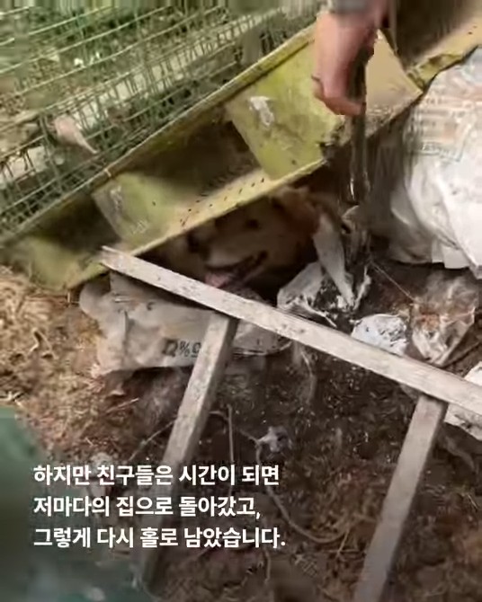 상세 사진 6
