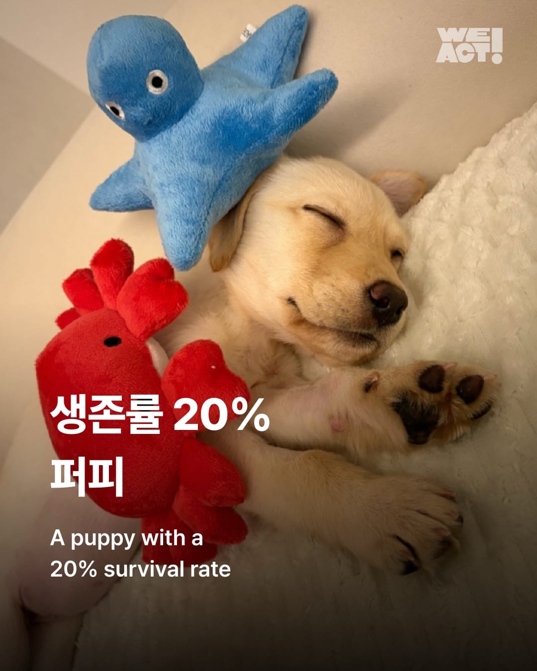 상세 사진 1