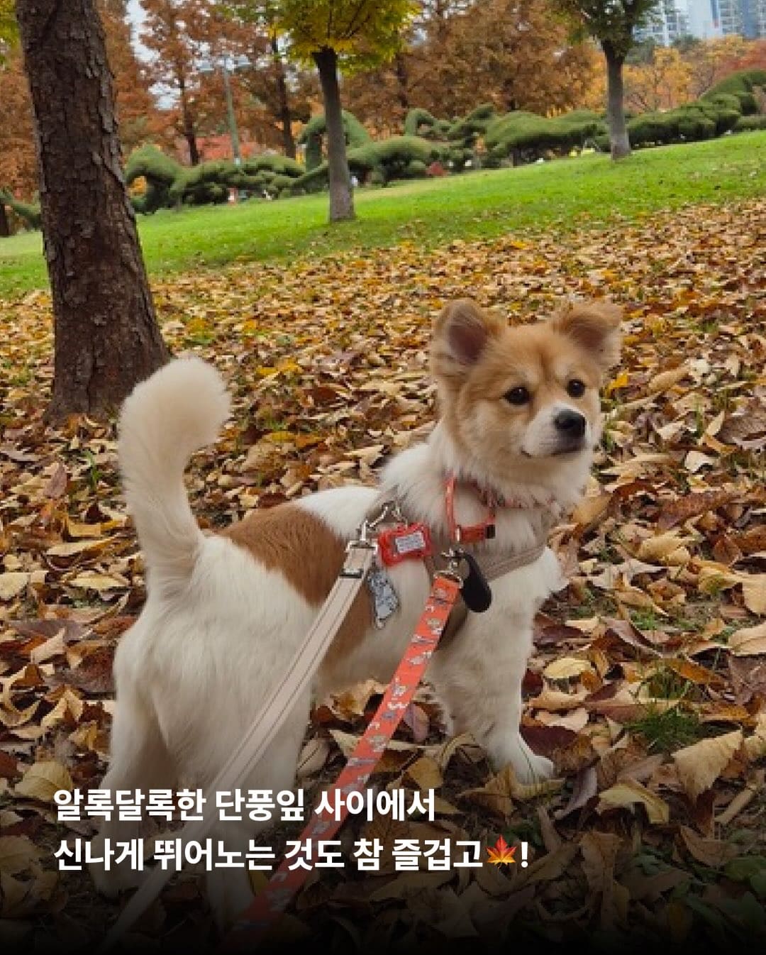 상세 사진 9