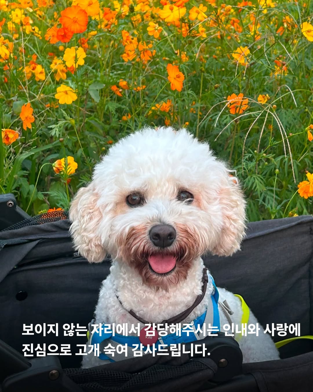상세 사진 12