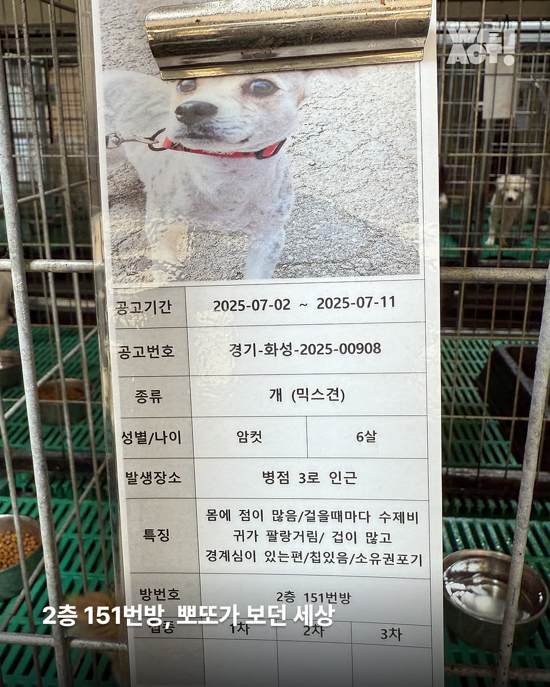 상세 사진 3