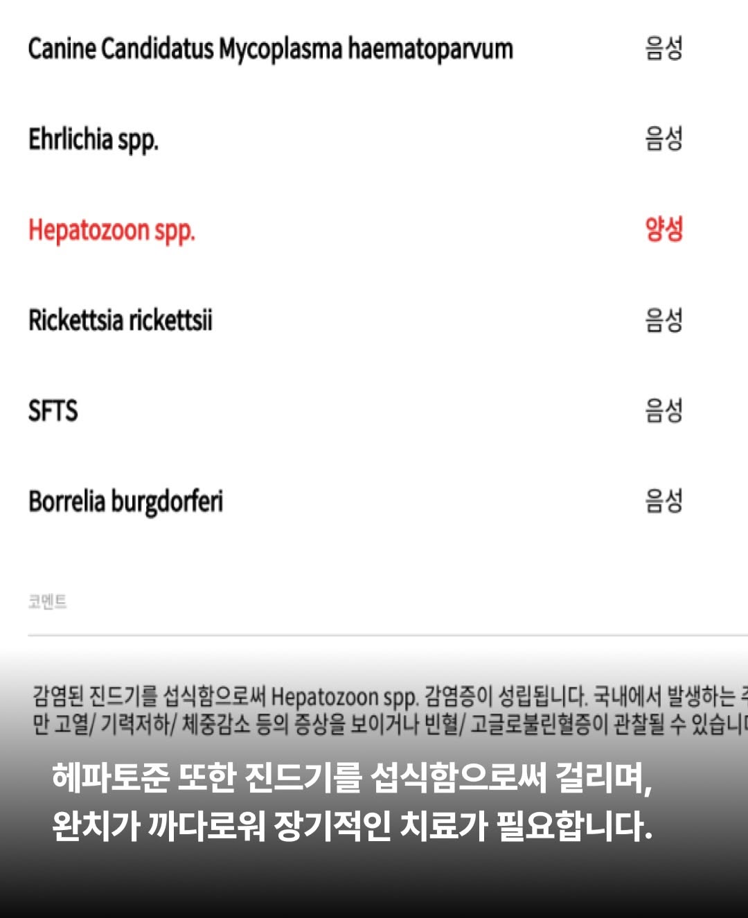 상세 사진 5