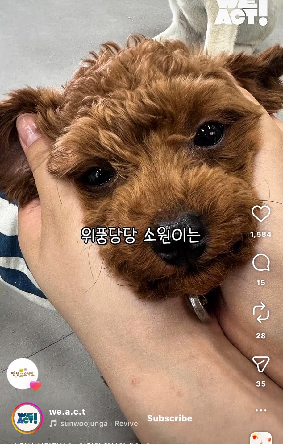 상세 사진 17
