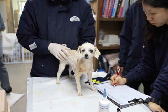 상세 사진 4