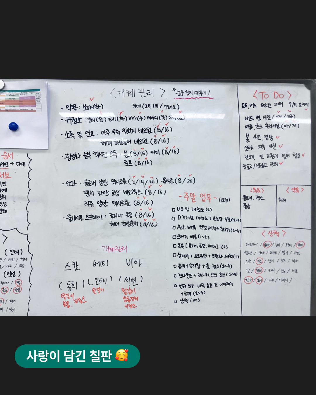 상세 사진 4