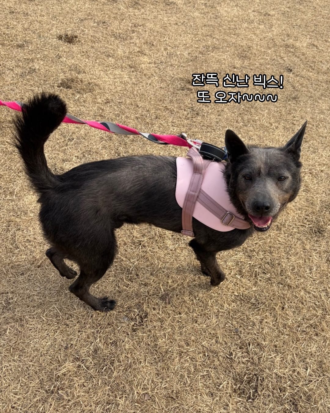상세 사진 14