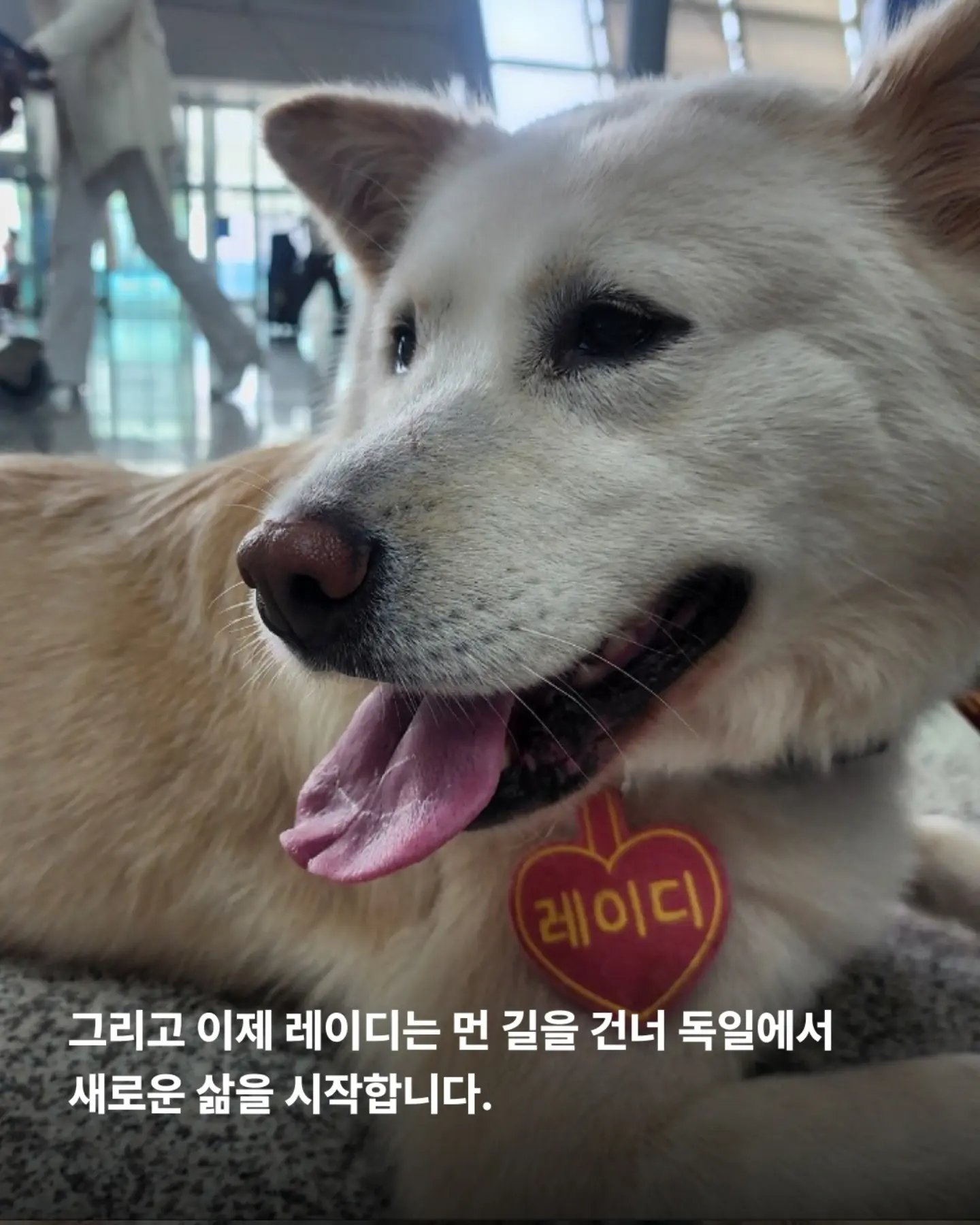 상세 사진 5
