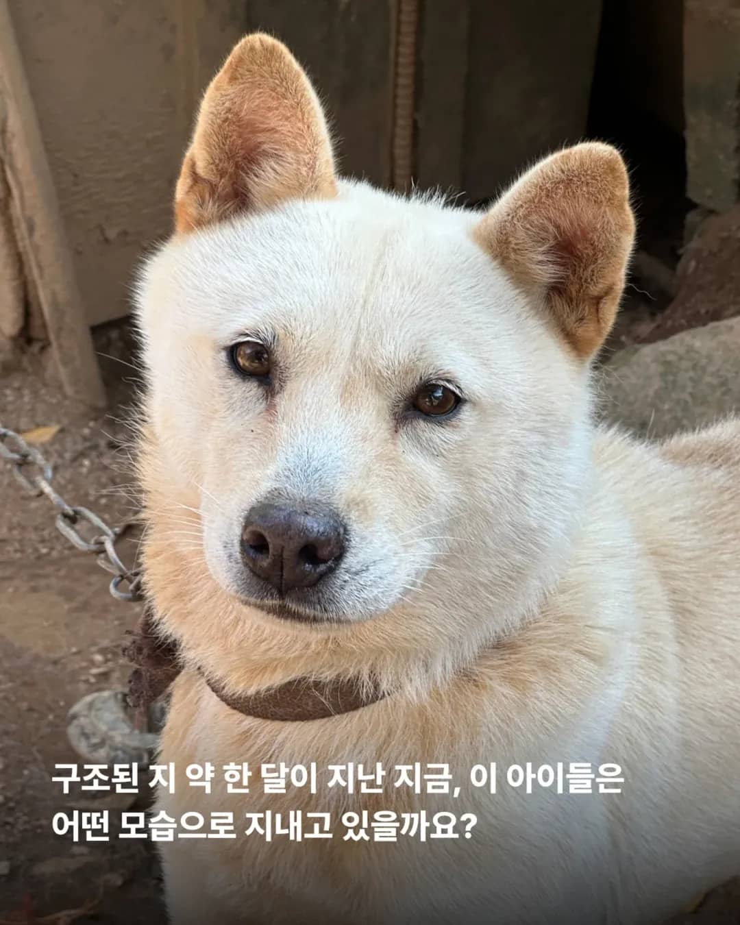 상세 사진 7