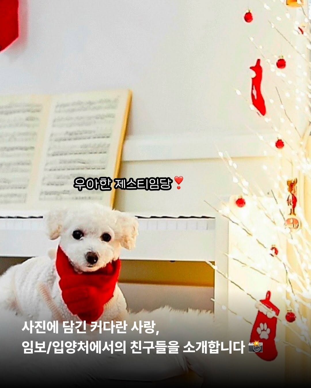 상세 사진 13