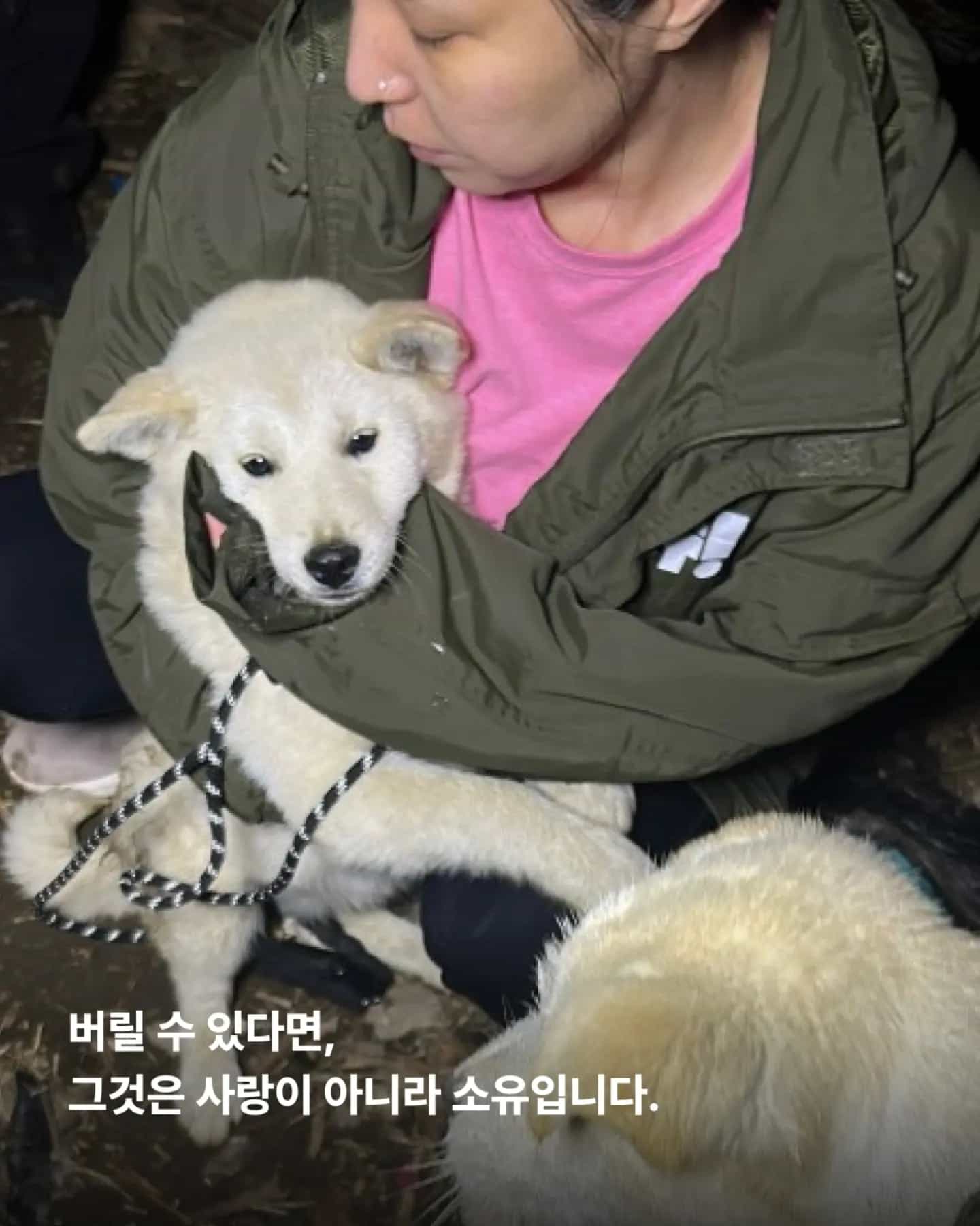 상세 사진 2