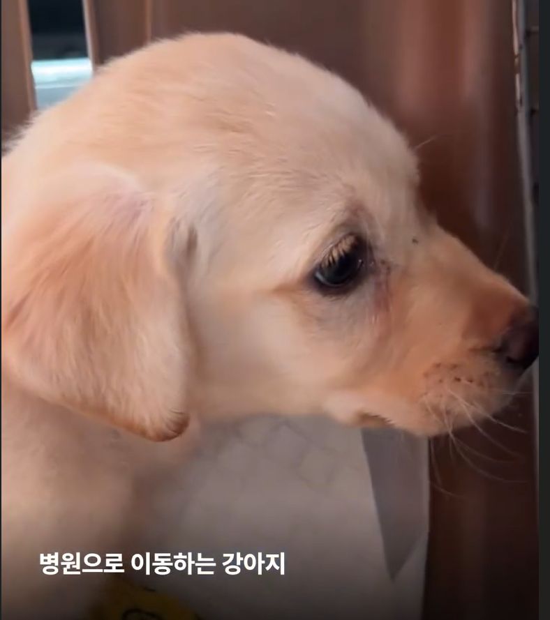 상세 사진 7