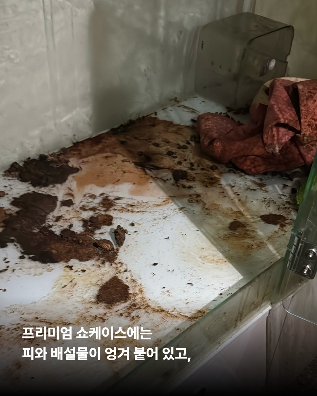 상세 사진 4