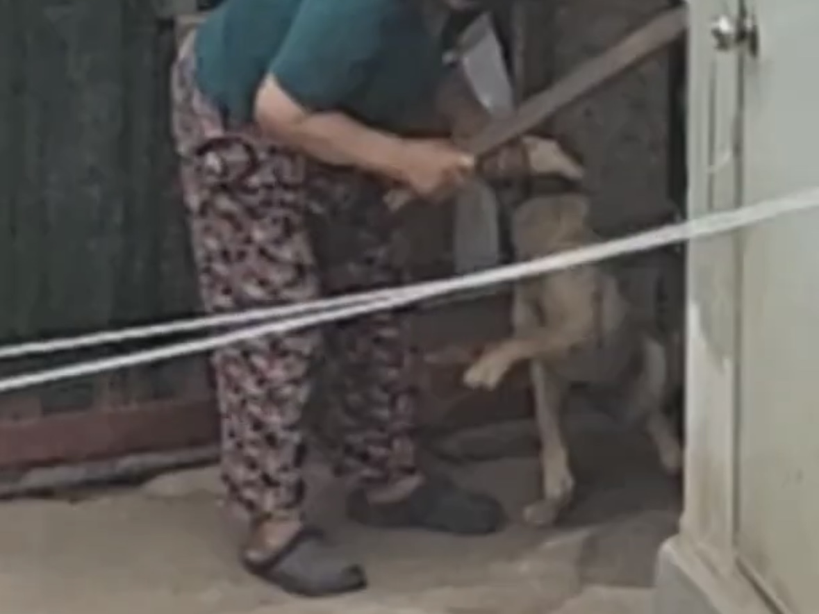 상세 사진 1