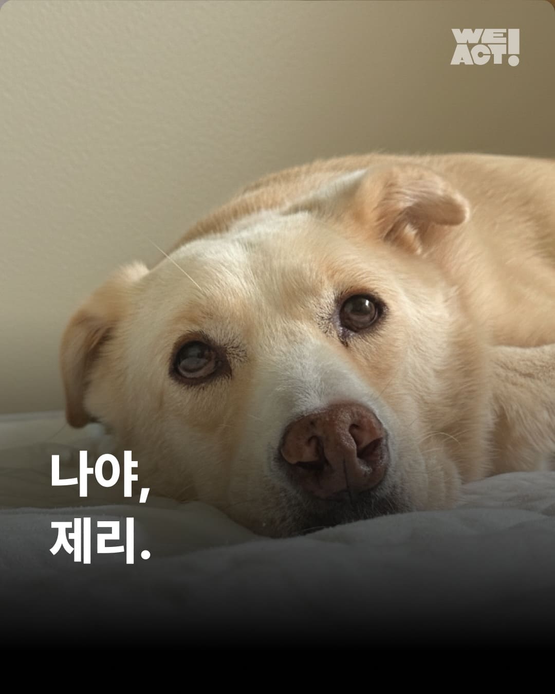 상세 사진 1