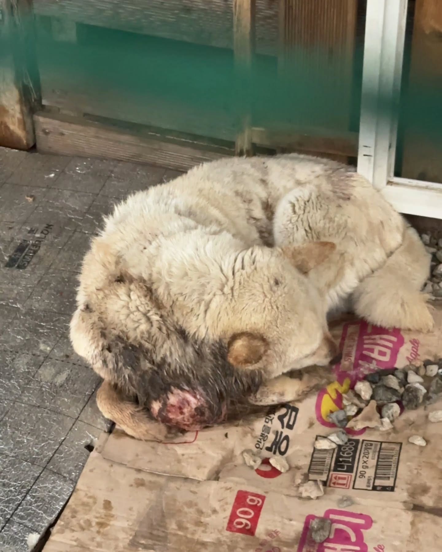 상세 사진 3