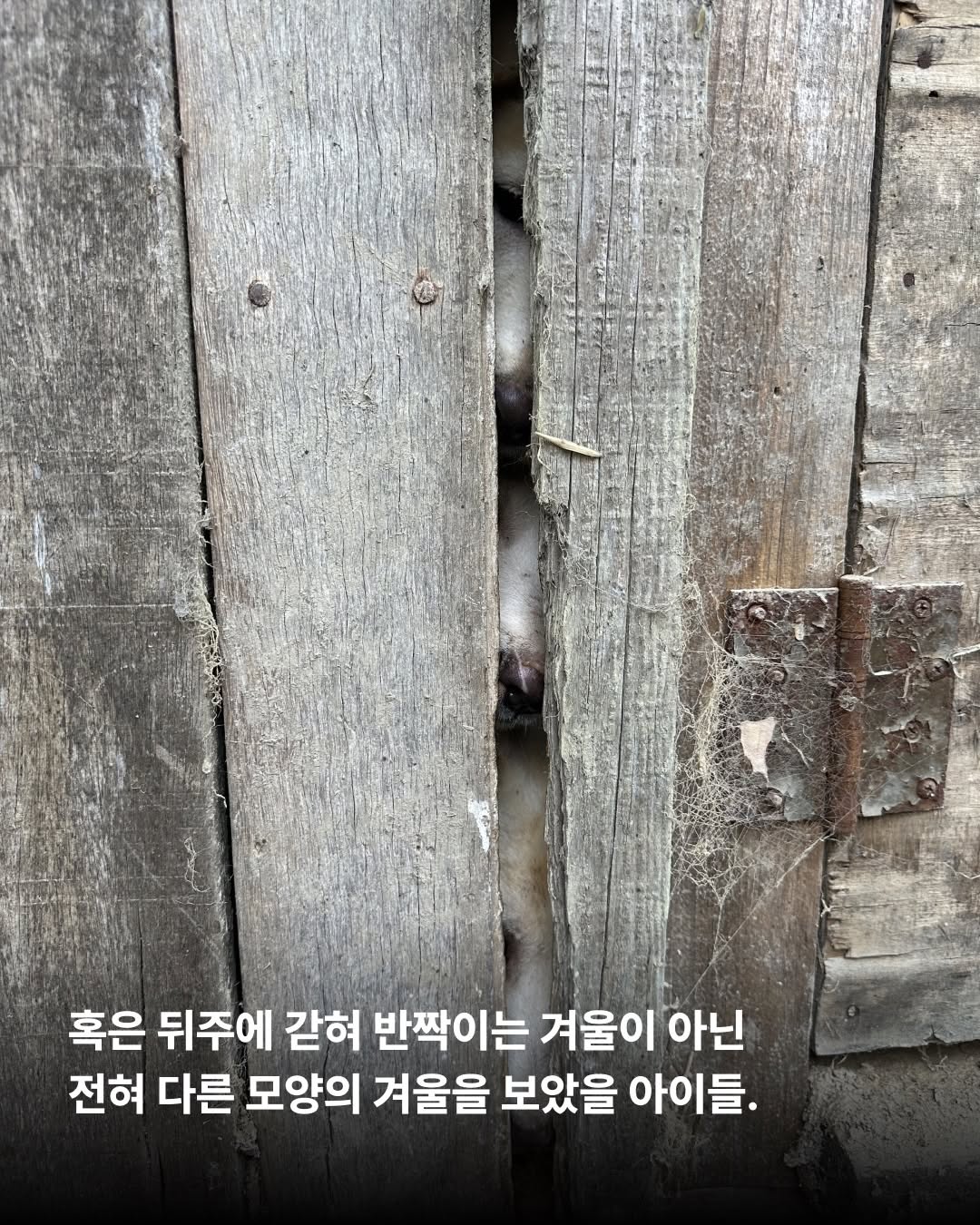 상세 사진 11