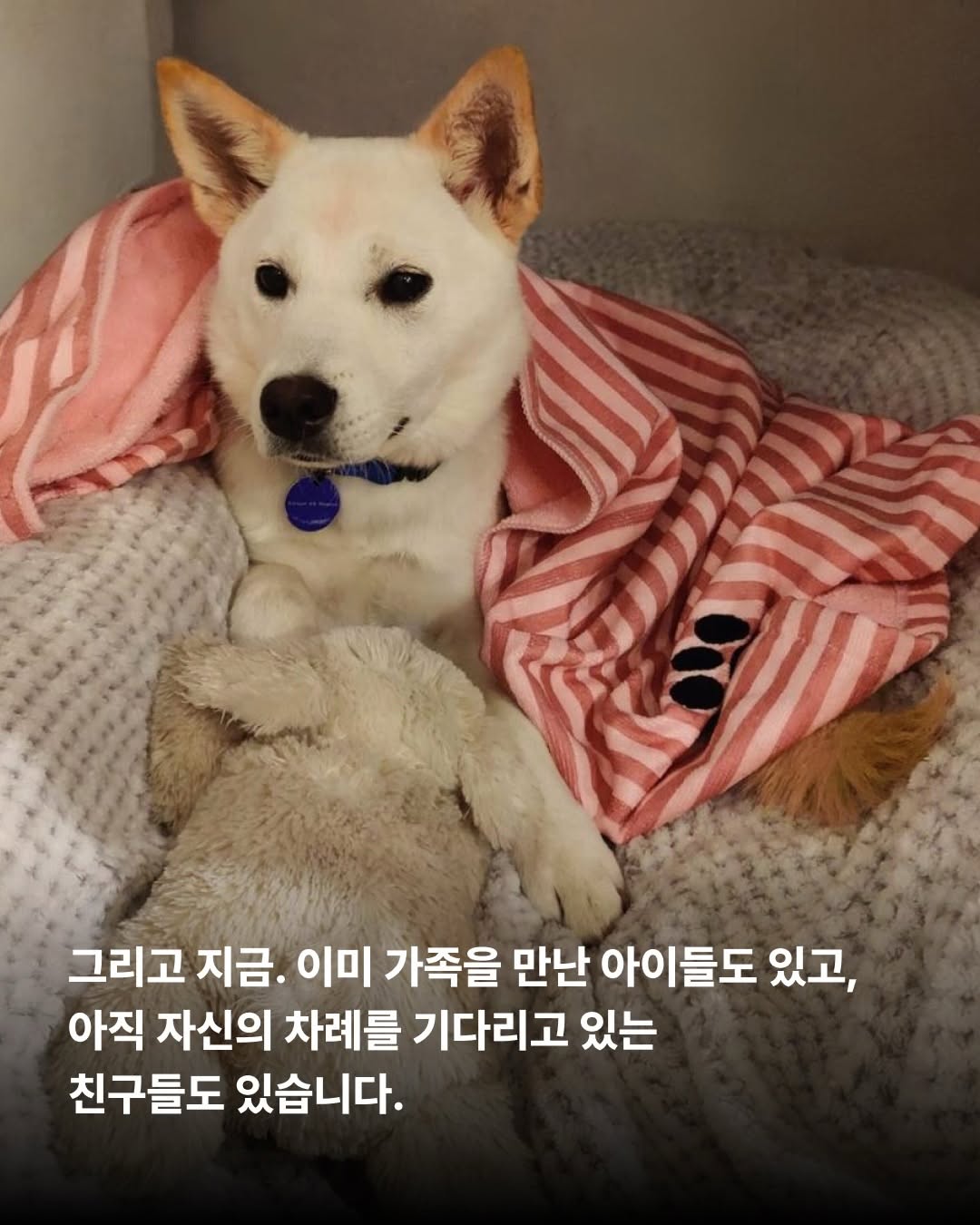 상세 사진 9