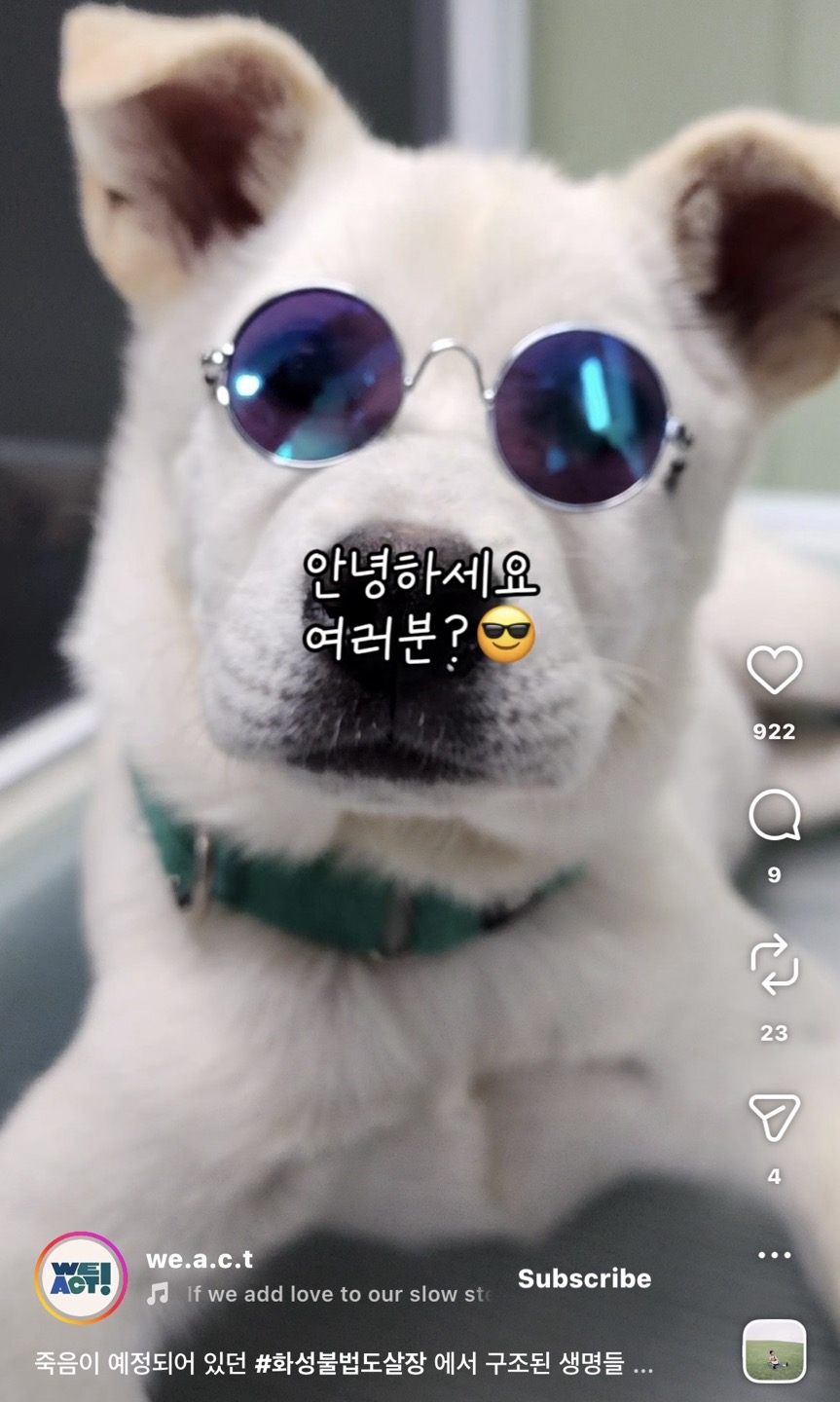 상세 사진 7