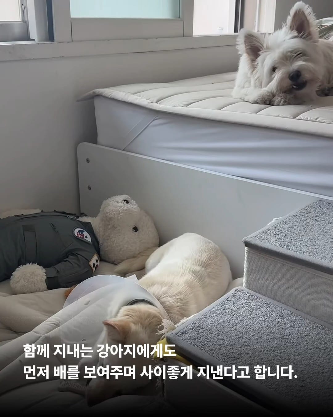 상세 사진 7