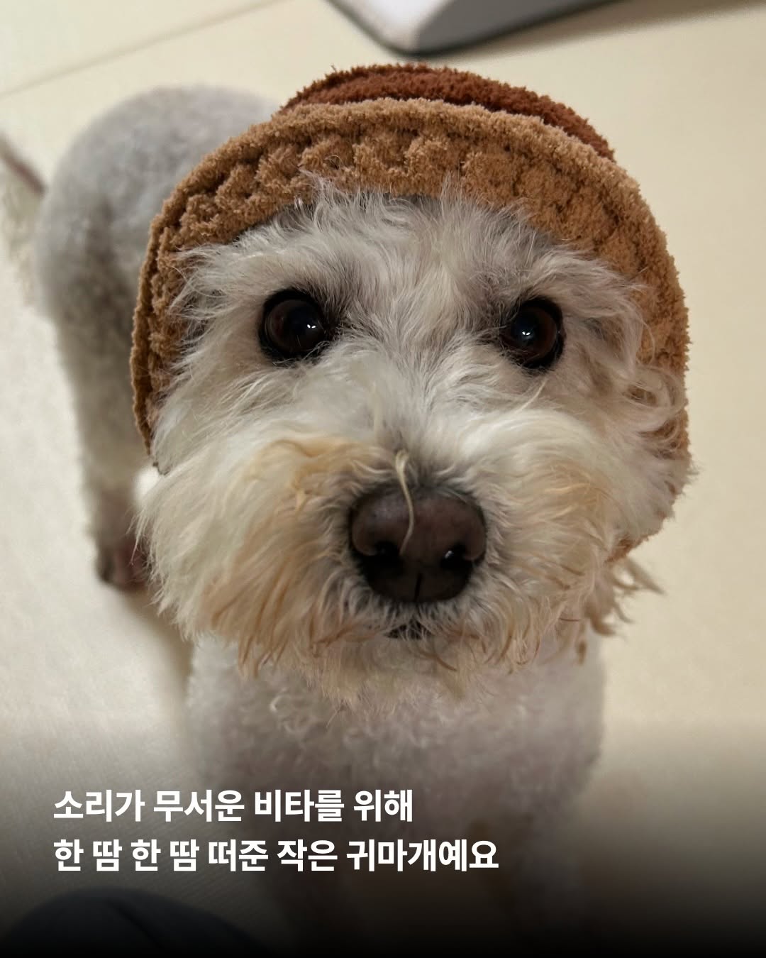 상세 사진 6