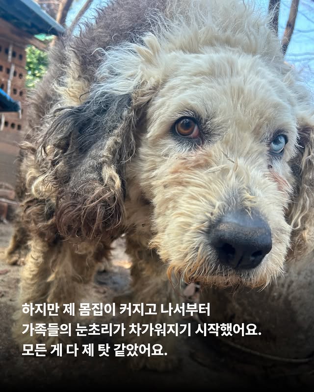 상세 사진 3