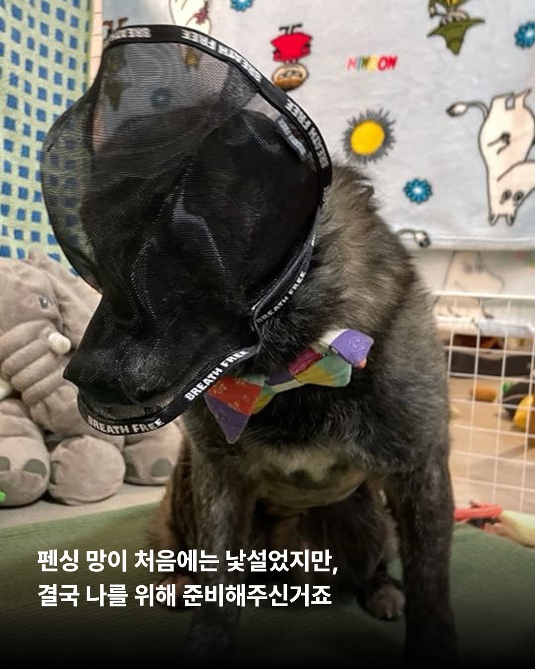 상세 사진 4