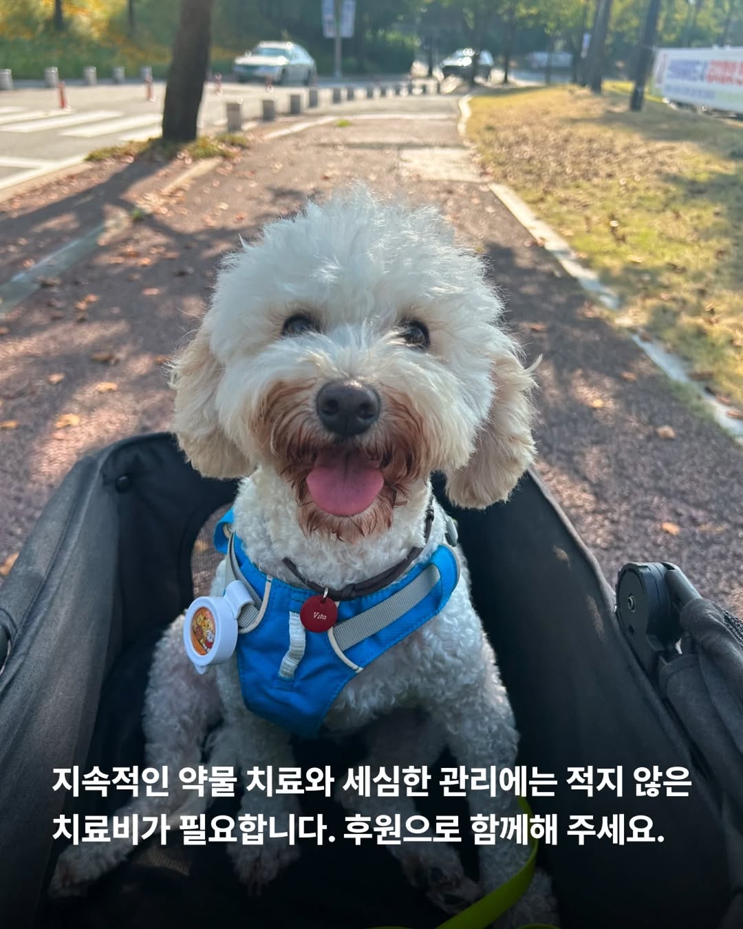 상세 사진 10