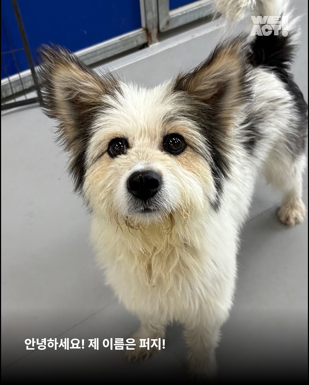 상세 사진 2