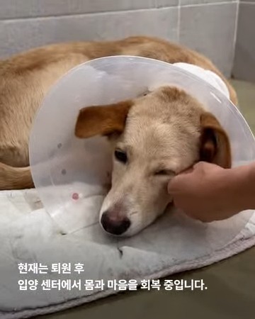 상세 사진 4