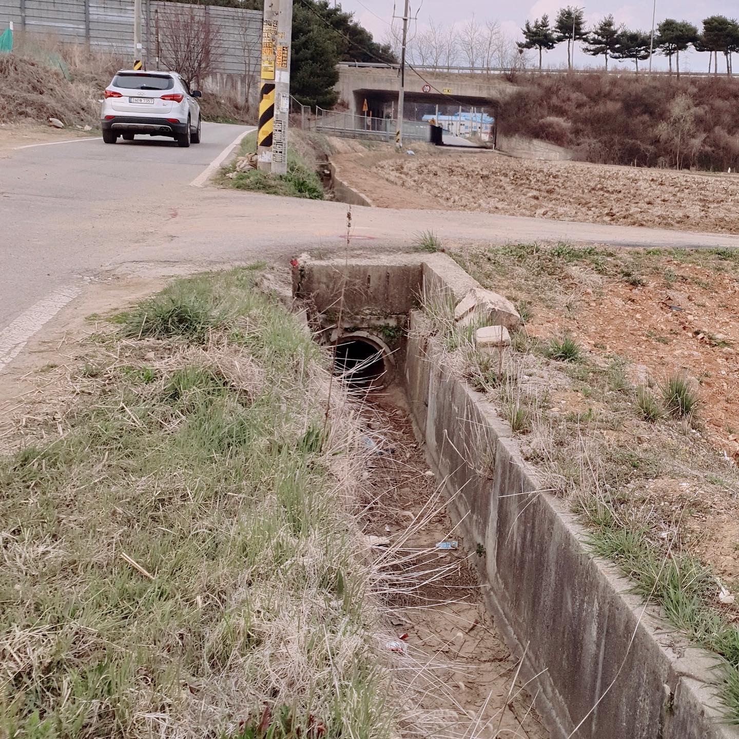 상세 사진 3