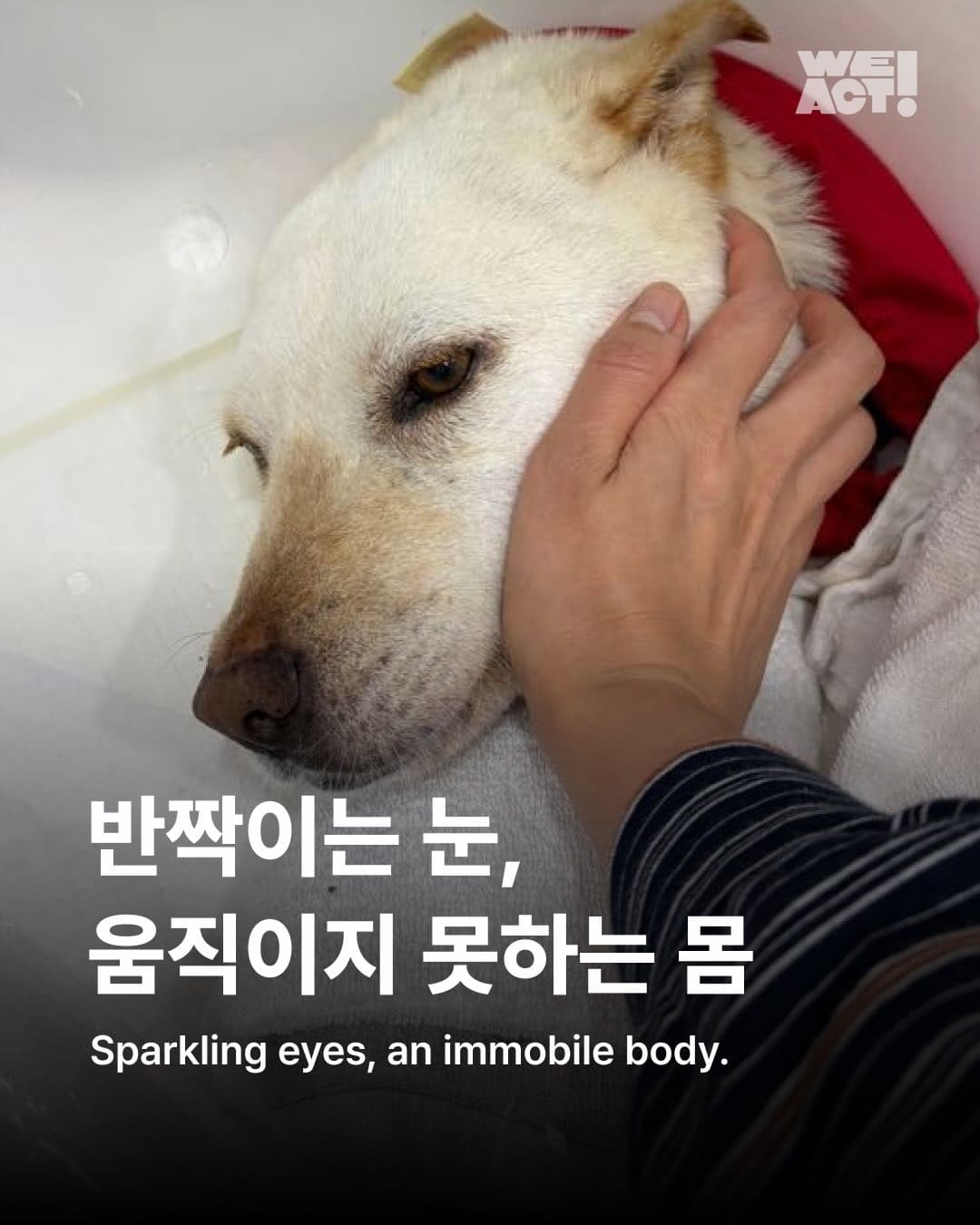 상세 사진 1