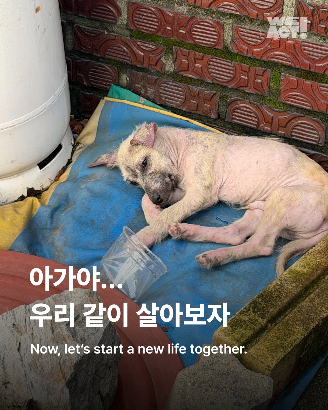 상세 사진 1